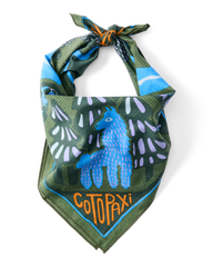 Organic Cotton Bandana